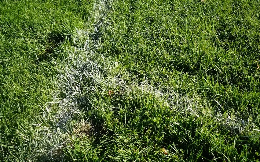 Pista de Tenis 3