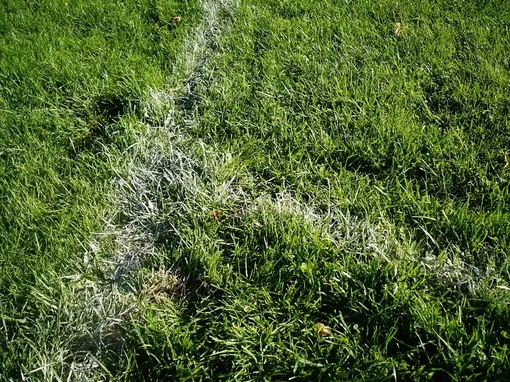 Pista de Tenis 3